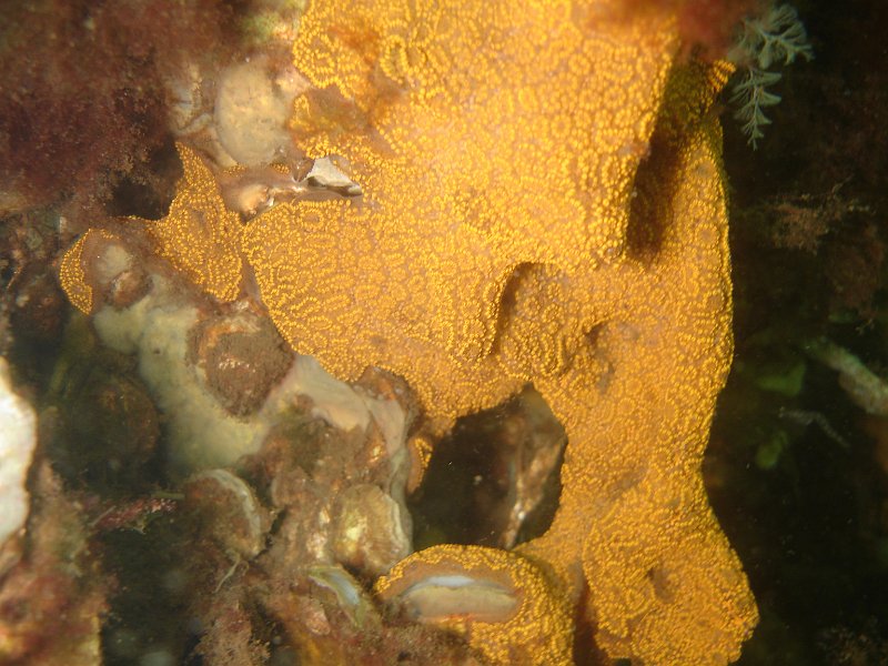 2012-07-07 09-30-23 Ludo.JPG